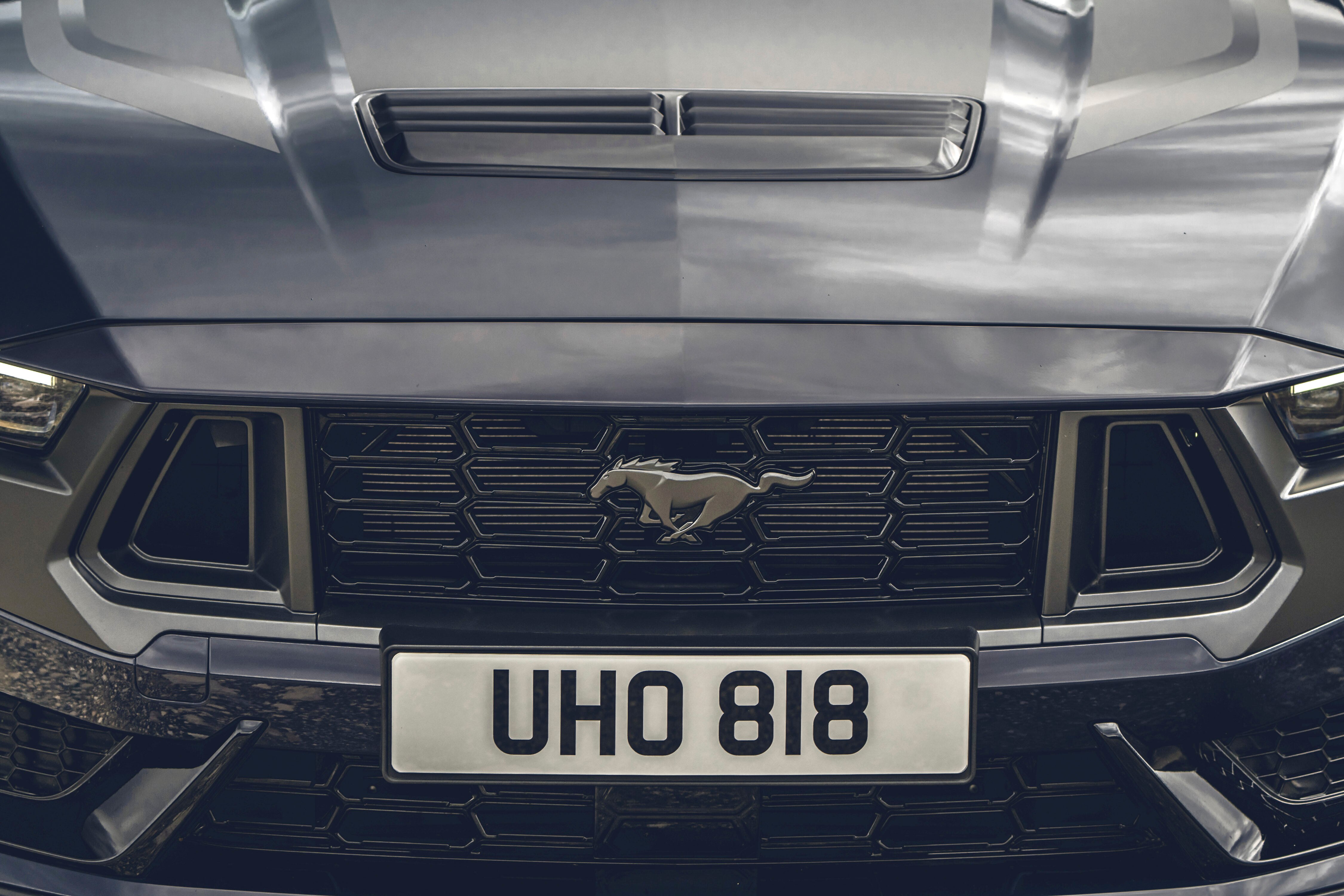 front grill of a mustang