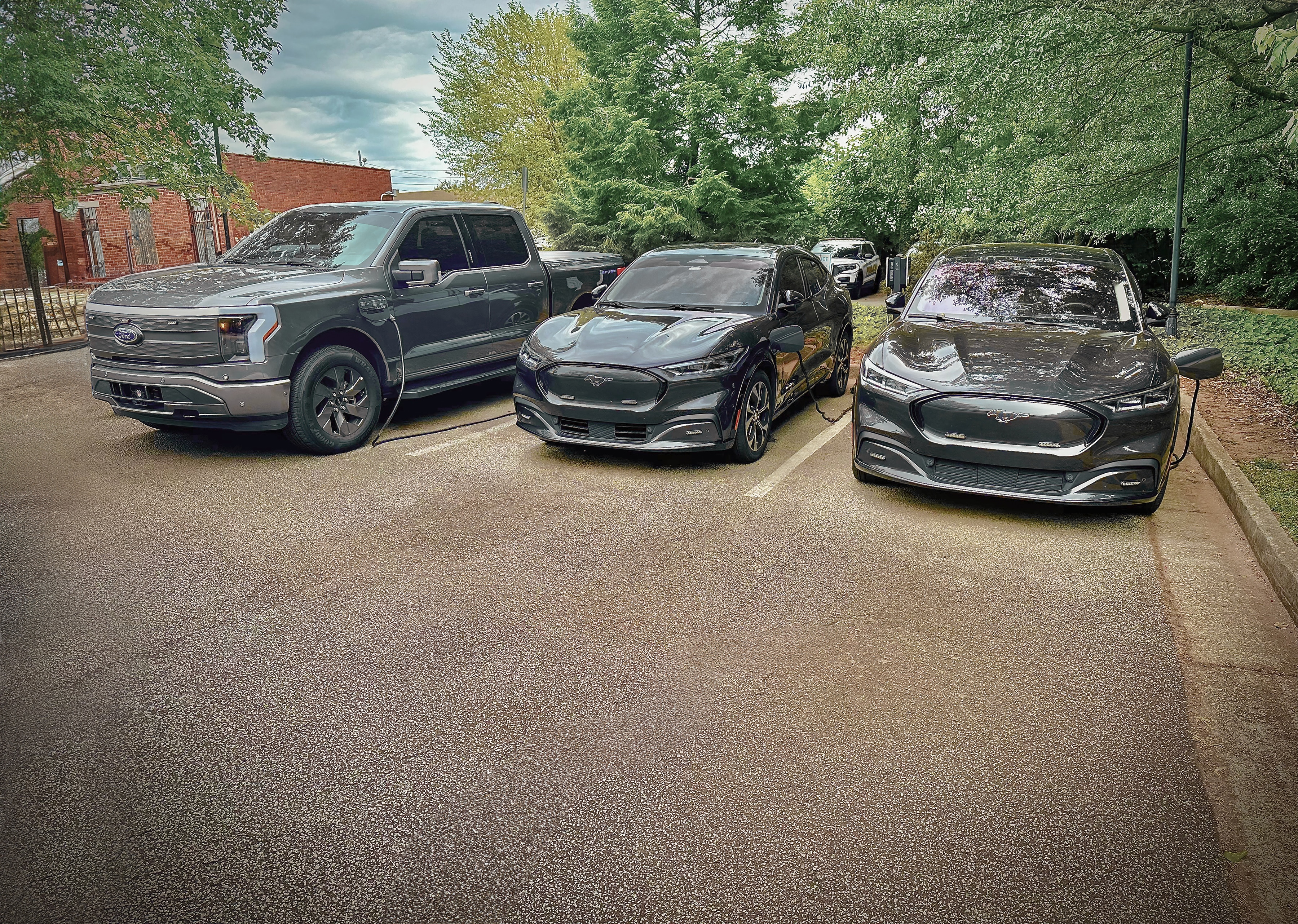 Three Ford EVs charging in a parking lot.