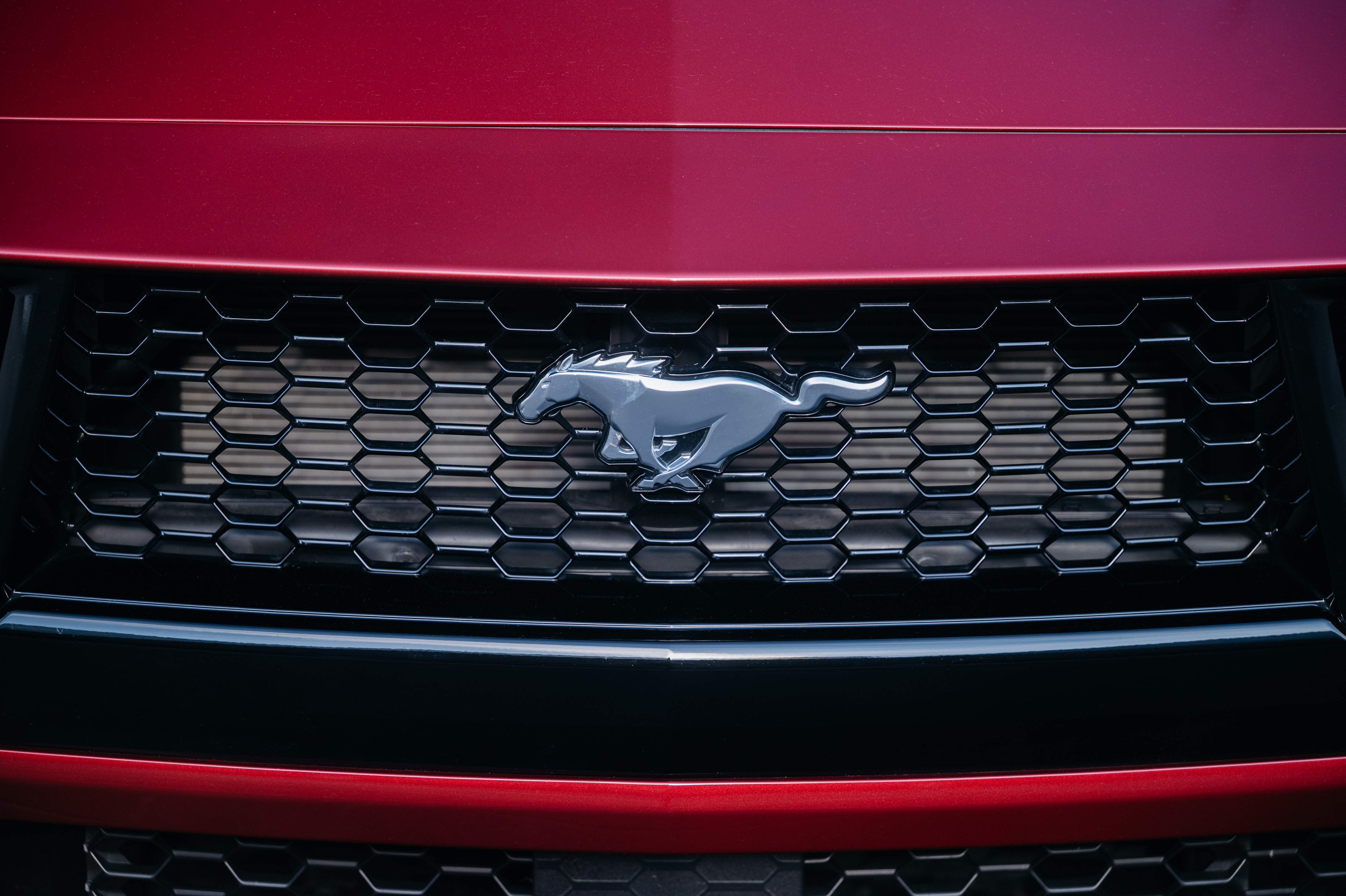 Front grille of a Ford Mustang, picturing the new Molten Magenta vehicle color around the grille and a silver Mustang logo (a running horse) in the center of the grille.