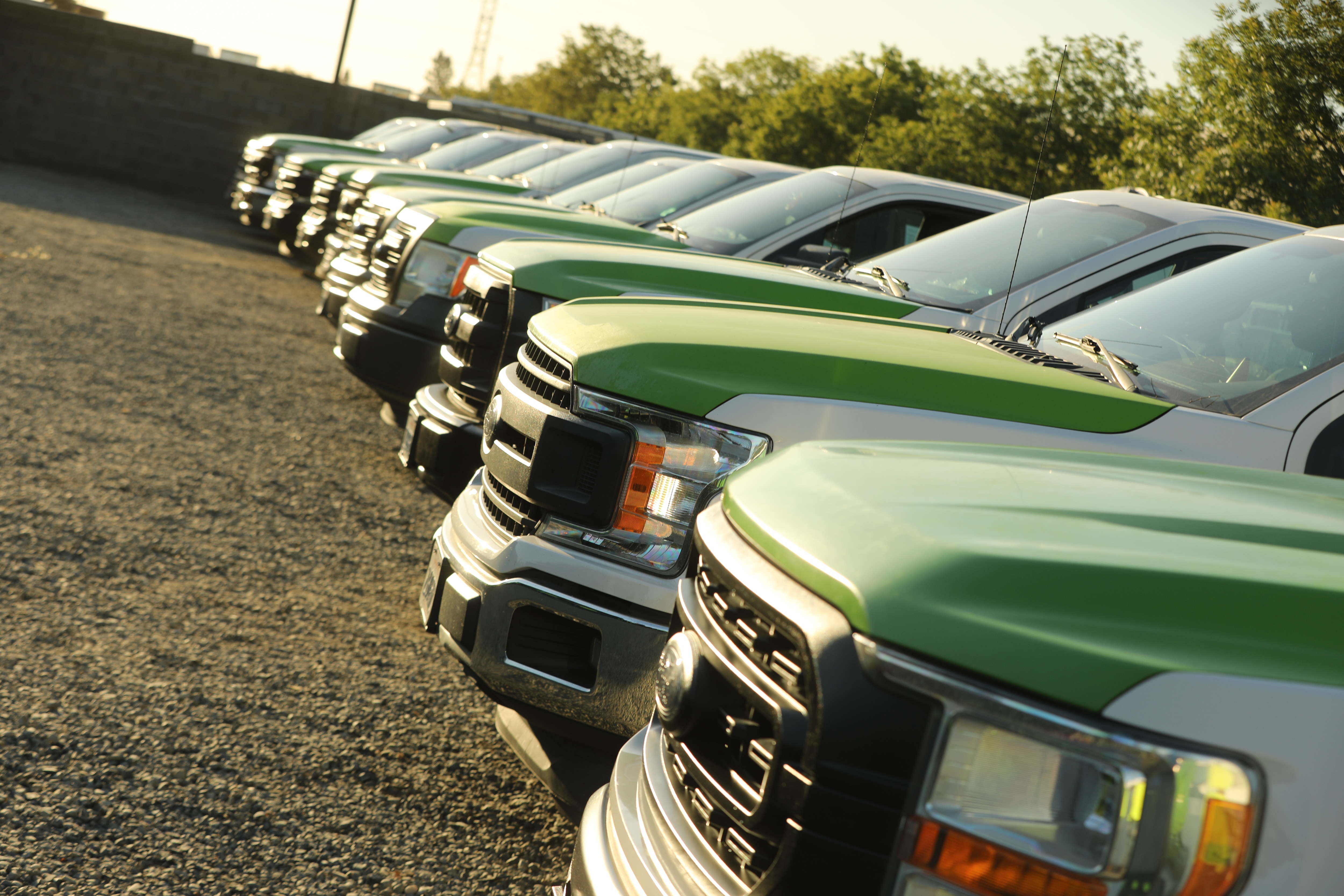 Nine of BellaVista’s Ford vehicles parked in a row.  Aftermarket wrap shown. 