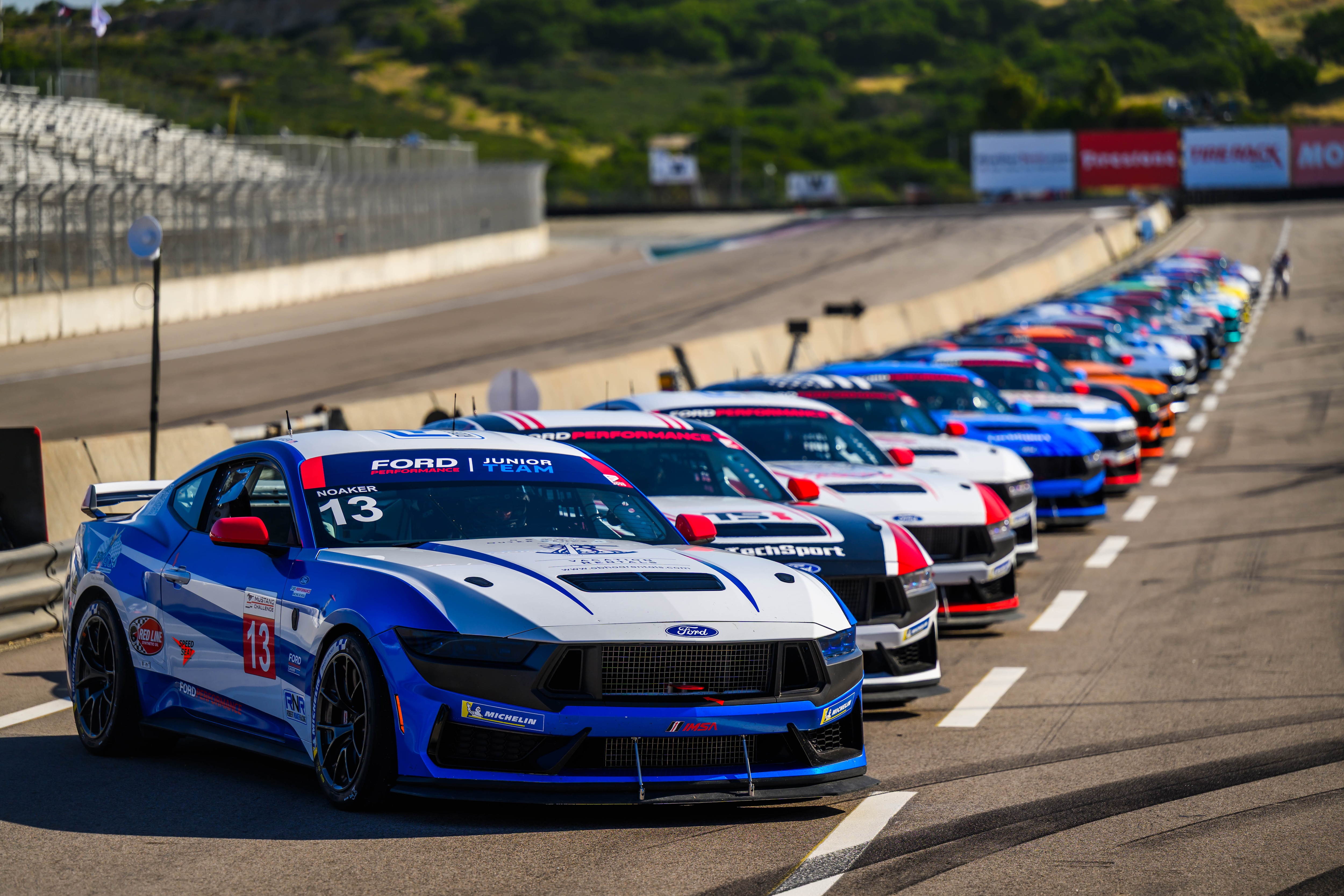 Forty Mustang Dark Horse R race cars have been divvied up among an international cast of racers to stampede down the Mulsanne Straight at the Circuit de la Sarthe.
