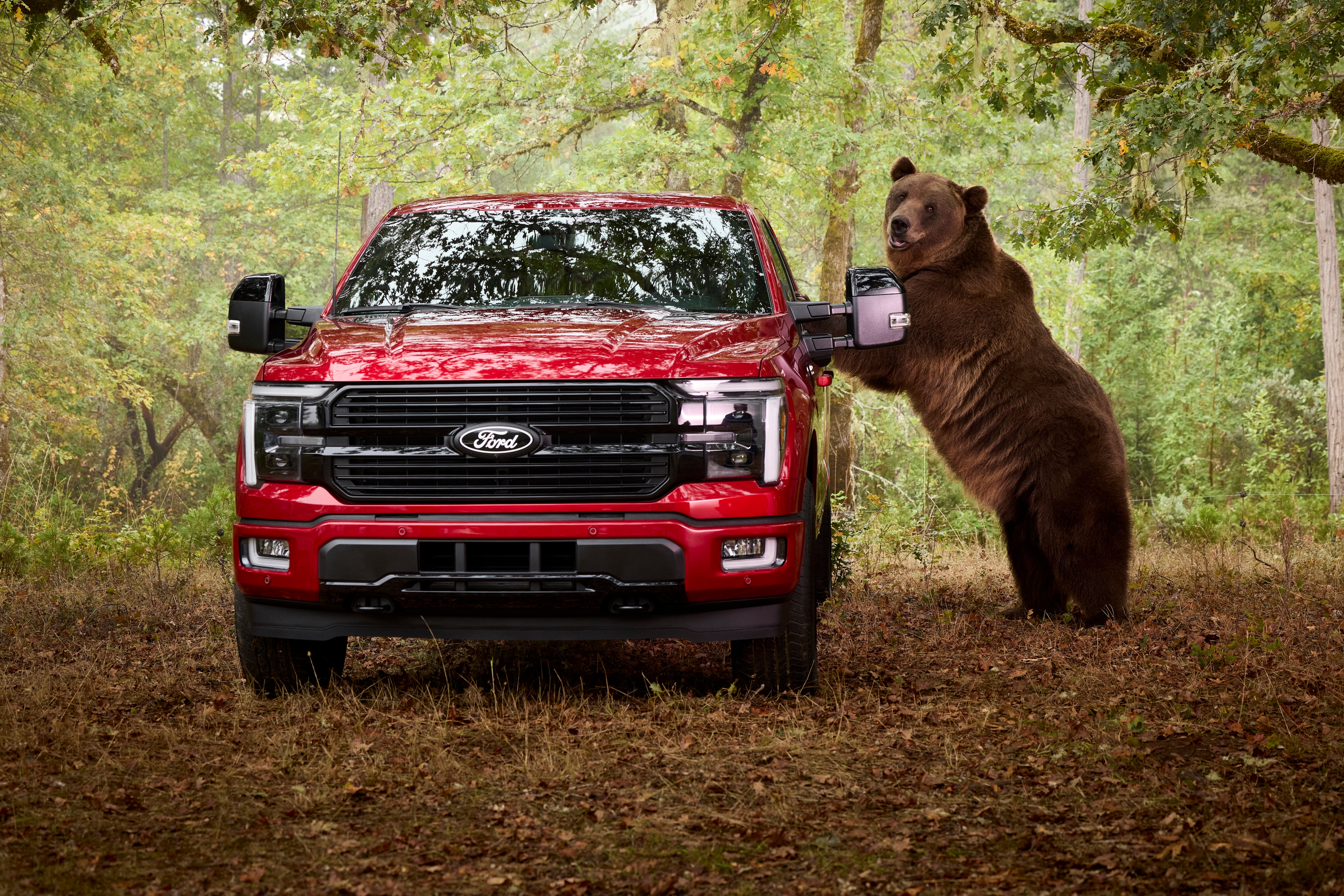 After years of perfecting the Ford Security Package, the Ford Secure team wanted a test that could go beyond the lab. Enter: a 1,000-pound Kodiak bear.